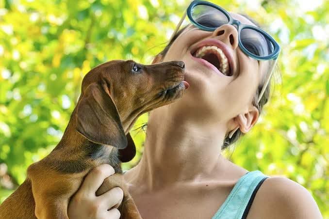 8 Popular Dog Breeds in India