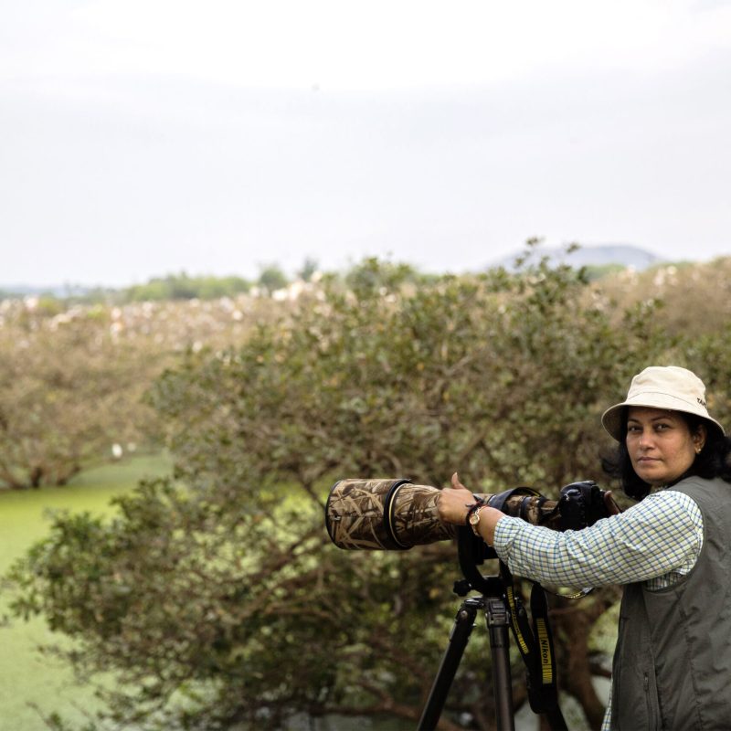 Chennai, 26 March 2018 : Portrait of Rathika Ramaswamy at the Vedanthangal Bird Sanctuary - the nesting area for Pelicans and Painted Storks. Rathika is a dedicated bird photographer. (Photo by Jyothy Karat)