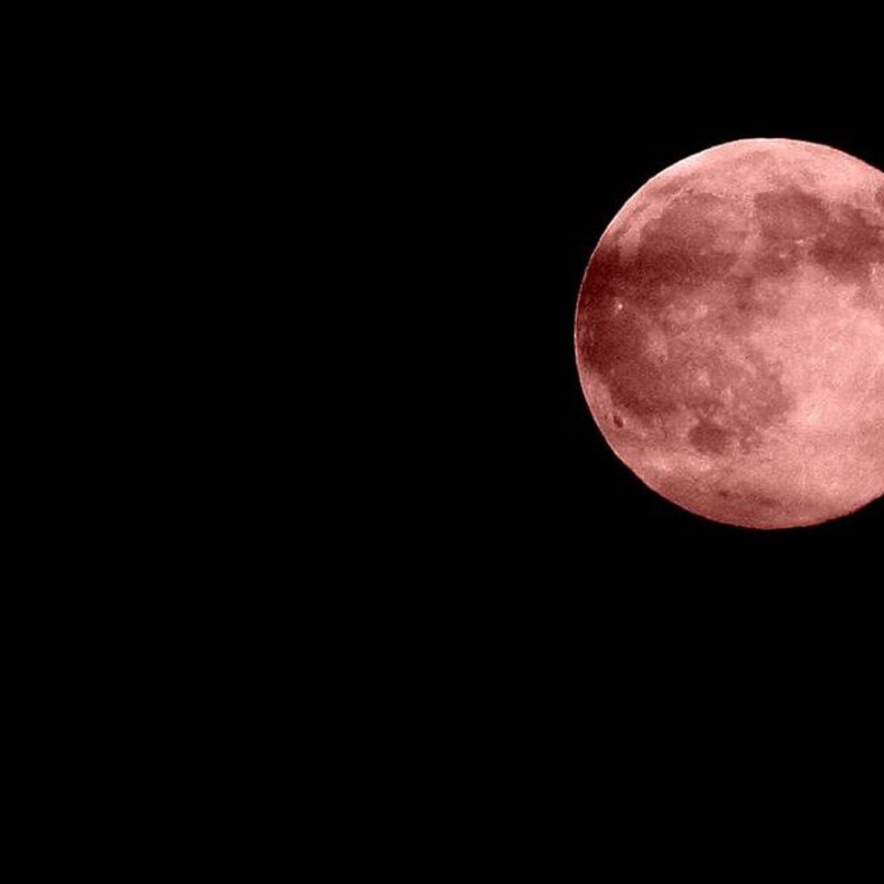 Strawberry Moon